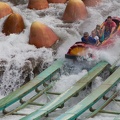 Florida201210-078