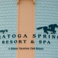 WDW2007-015