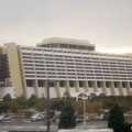 WDW2007-030