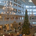 WDW2007-047