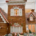 WDW2007-051