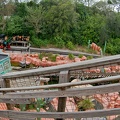 WDW2007-069