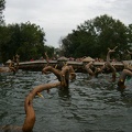 WDW2007-075