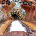 WDW2007-081