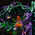 WDW2007-094