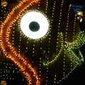 WDW2007-096