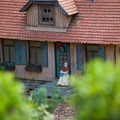 WDW2007-185