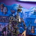 WDW2007-239