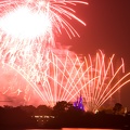 WDW2007-247