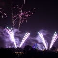 WDW2007-249