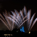 WDW2007-250