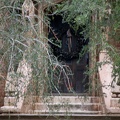 WDW2007-287