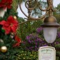 WDW2007-322