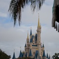 WDW2007-323