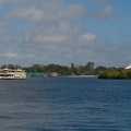 WDW2007-337