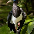 WDW2007-354