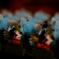 WDW2007-362