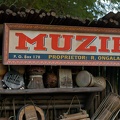 WDW2007-382