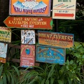 WDW2007-384