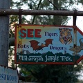 WDW2007-390