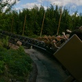 WDW2007-416