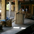 WDW2007-417