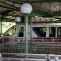 WDW2007-498