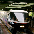WDW2007-499