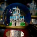 WDW2007-525