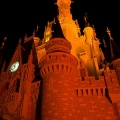WDW2007-547