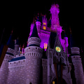 WDW2007-548.jpg