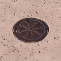 WDW2007-567