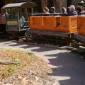WDW2007-584