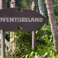 WDW2007-598