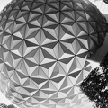 WDW2007-film-05