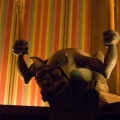 Disneyland2007-039