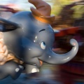 Disneyland2007-116