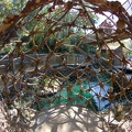 Disneyland2007-163