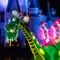 WDW201505-016.jpg