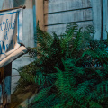 WDW201505-196