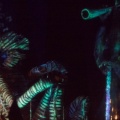 WDW201508-042