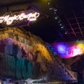 WDW201508-340