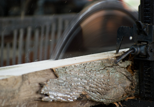 Pageant of Steam 2008-17