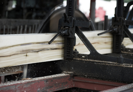 Pageant of Steam 2008-19