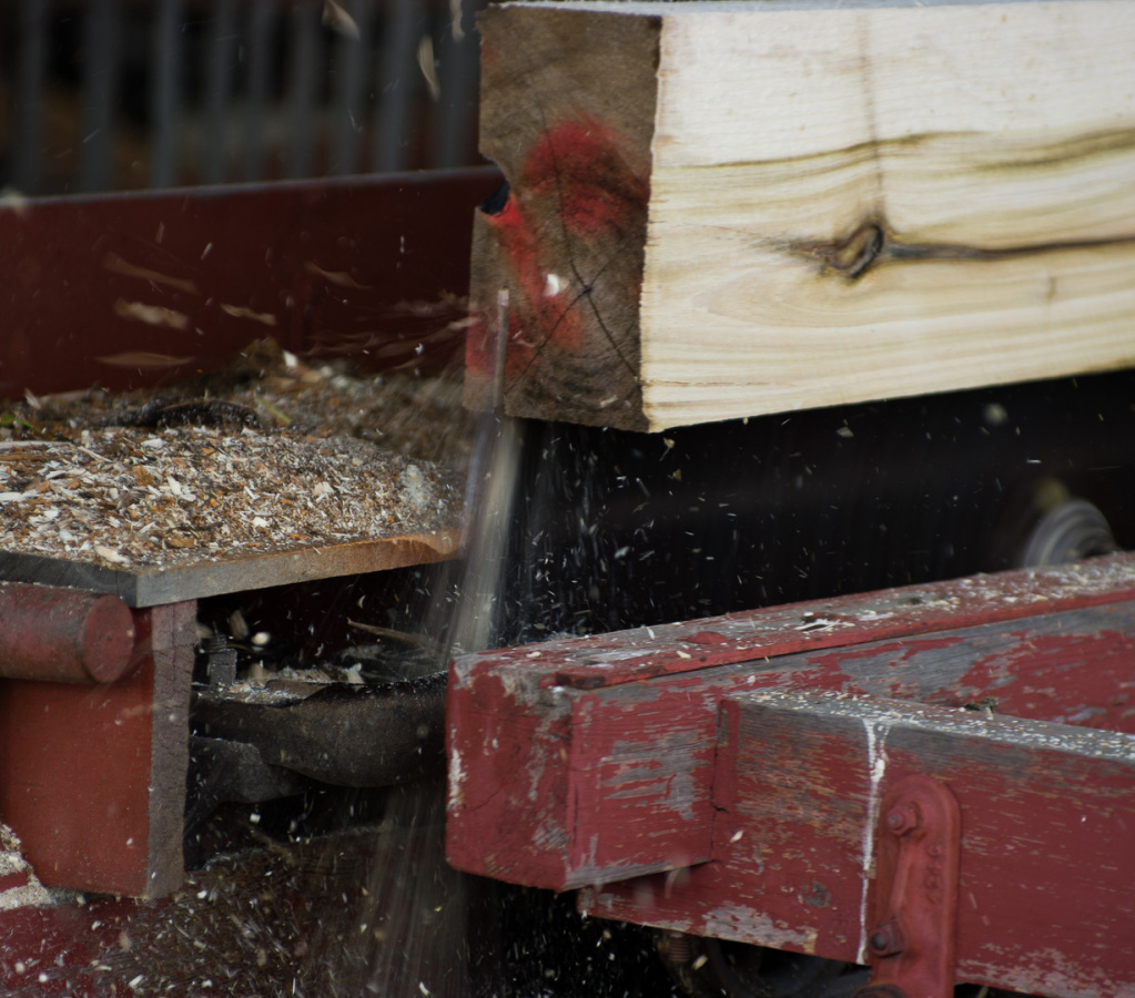 Pageant of Steam 2008-20