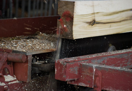 Pageant of Steam 2008-20