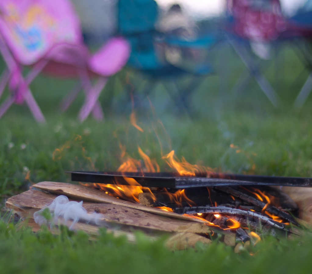 SampsonStatePark2009-04