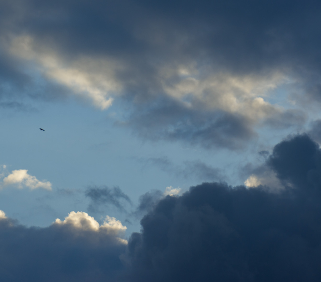 SampsonStatePark2009-05