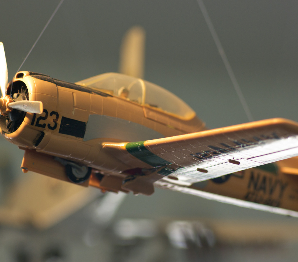 SampsonStatePark2009-14