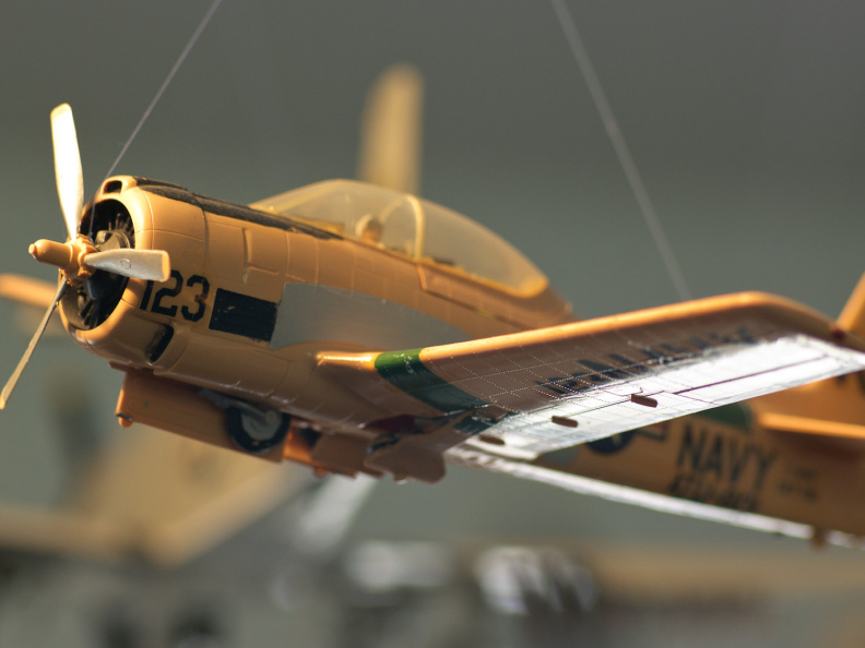 SampsonStatePark2009-14